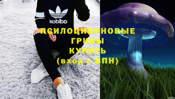 ALPHA-PVP Богородицк